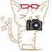 ただのカメラの人⊿P (@nichijyouk_m) Twitter profile photo ただのカメラの人⊿P (@nichijyouk_m) Twitter profile photo