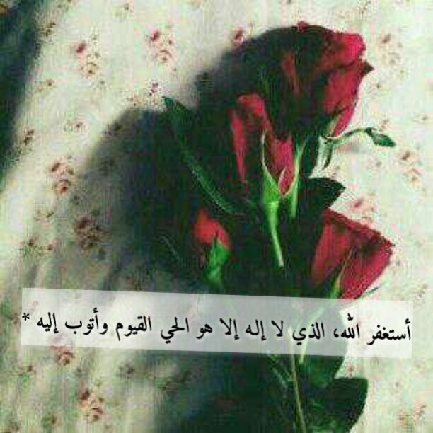 لَستُ سِوى روحاً عسَى أن يُغفر لها ✺
