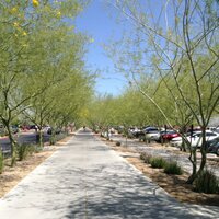 marusa de ramos (@marusaderamos) 's Twitter Profile