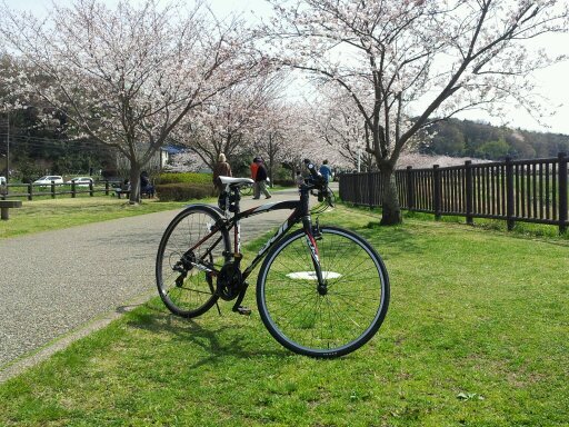 自転車や漫画が趣味の受験生です                                                                             気軽にフォローよろしくお願いします