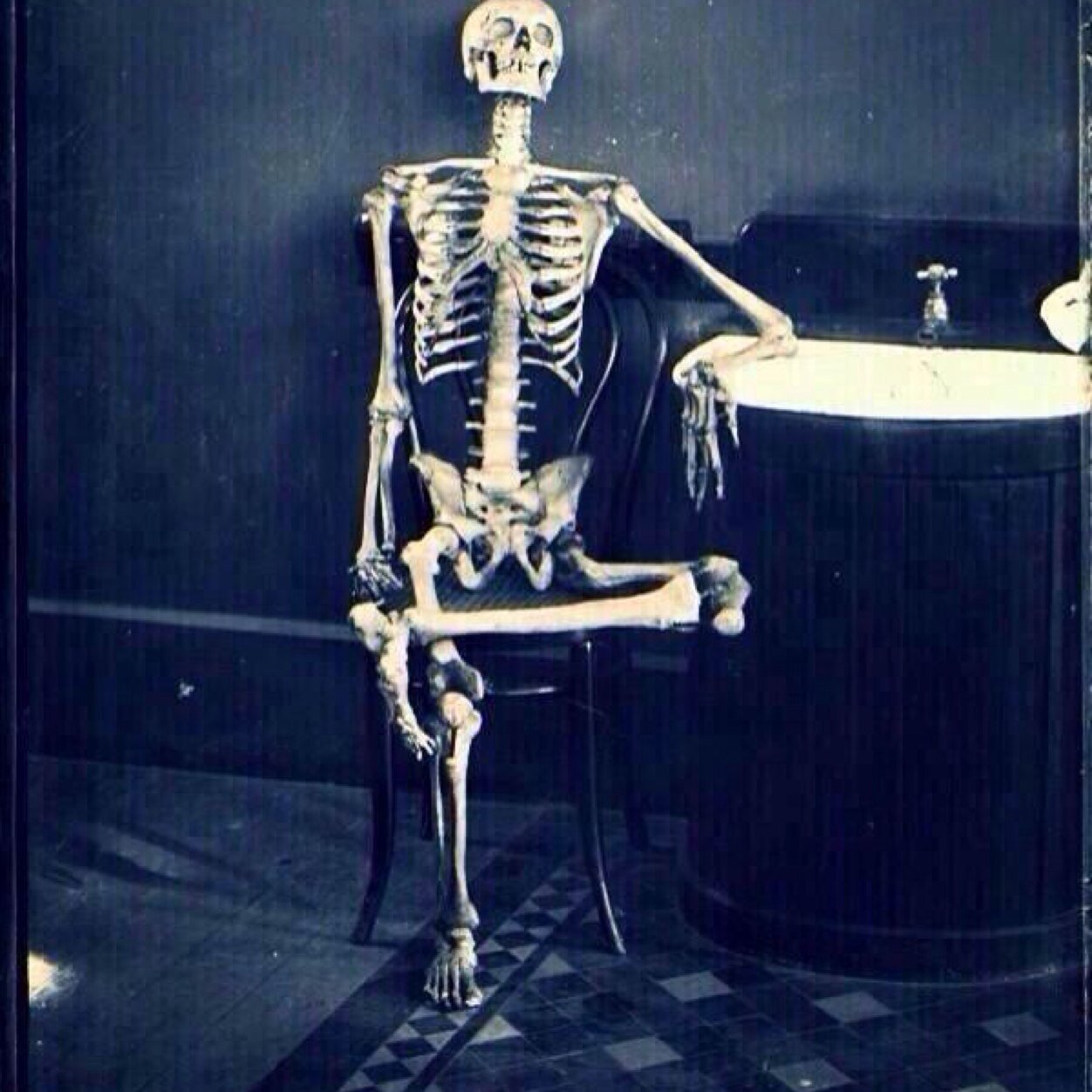 TonyHarrison88's profile picture. 