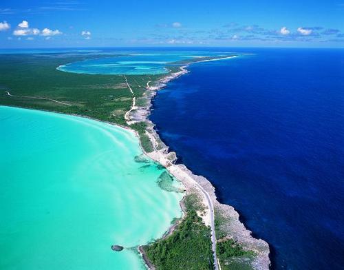 Barb_McKellar's profile picture. 