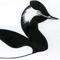 UK RBBP (@ukrbbp) 's Twitter Profile Photo UK RBBP (@ukrbbp) 's Twitter Profile Photo