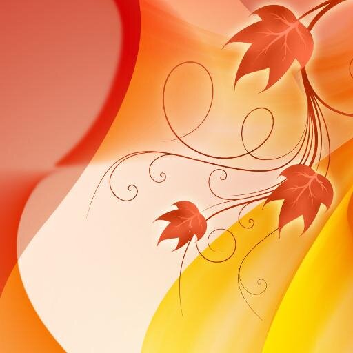 iDesign