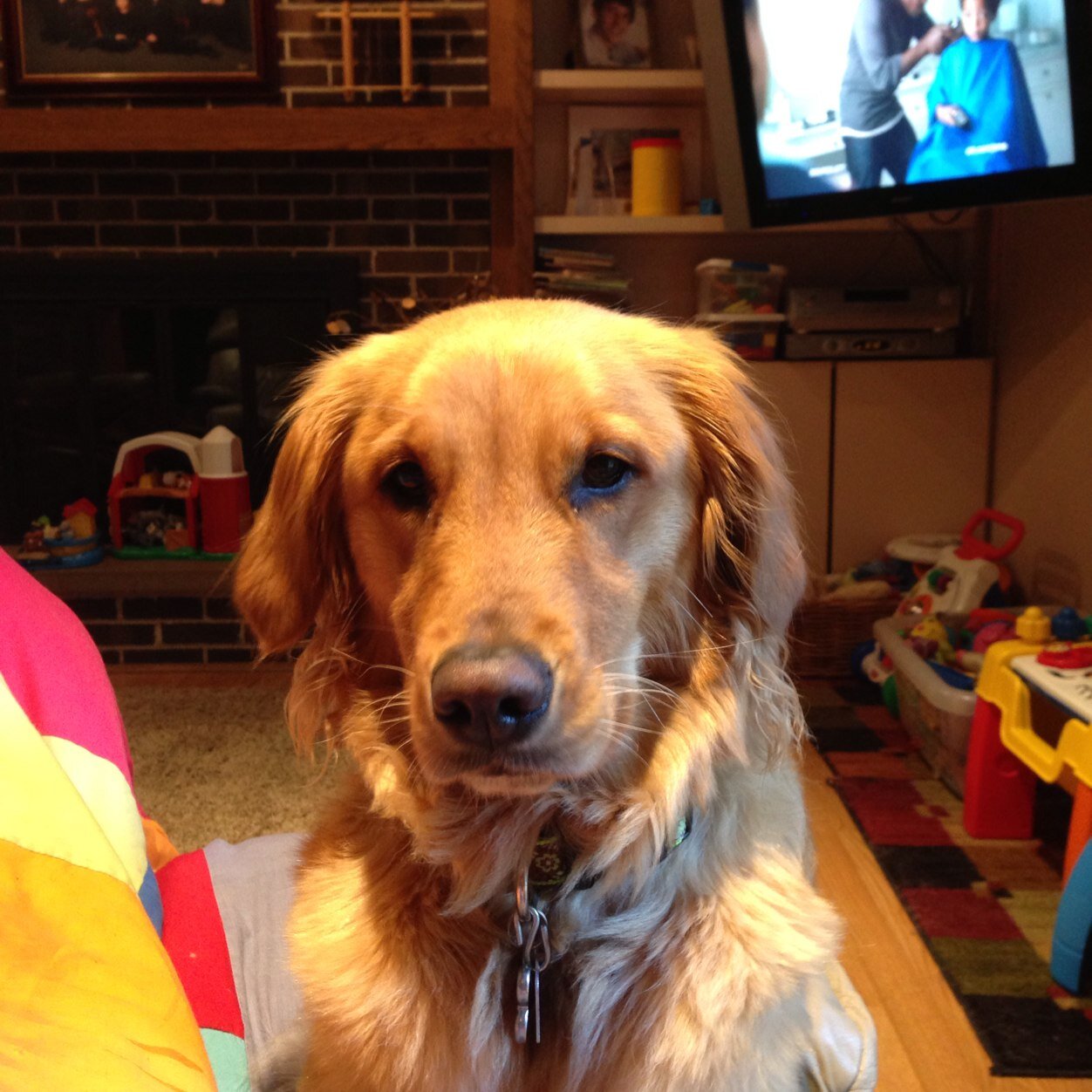 AndyMcPherson63's profile picture. Random thoughts about random things. Some real...most imagined.