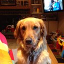 Andy McPherson - @AndyMcPherson63 - Twitter