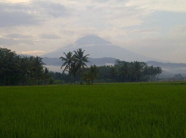 nightmare_R_6's profile picture. Yang tulus mencintaimu, bukan dia yang buatmu tertawa saat kau bersedih, tapi dia yang melihatmu tertawa tapi tahu bersedih#CTB