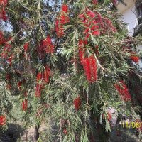 ZAS (@zassrs) 's Twitter Profile