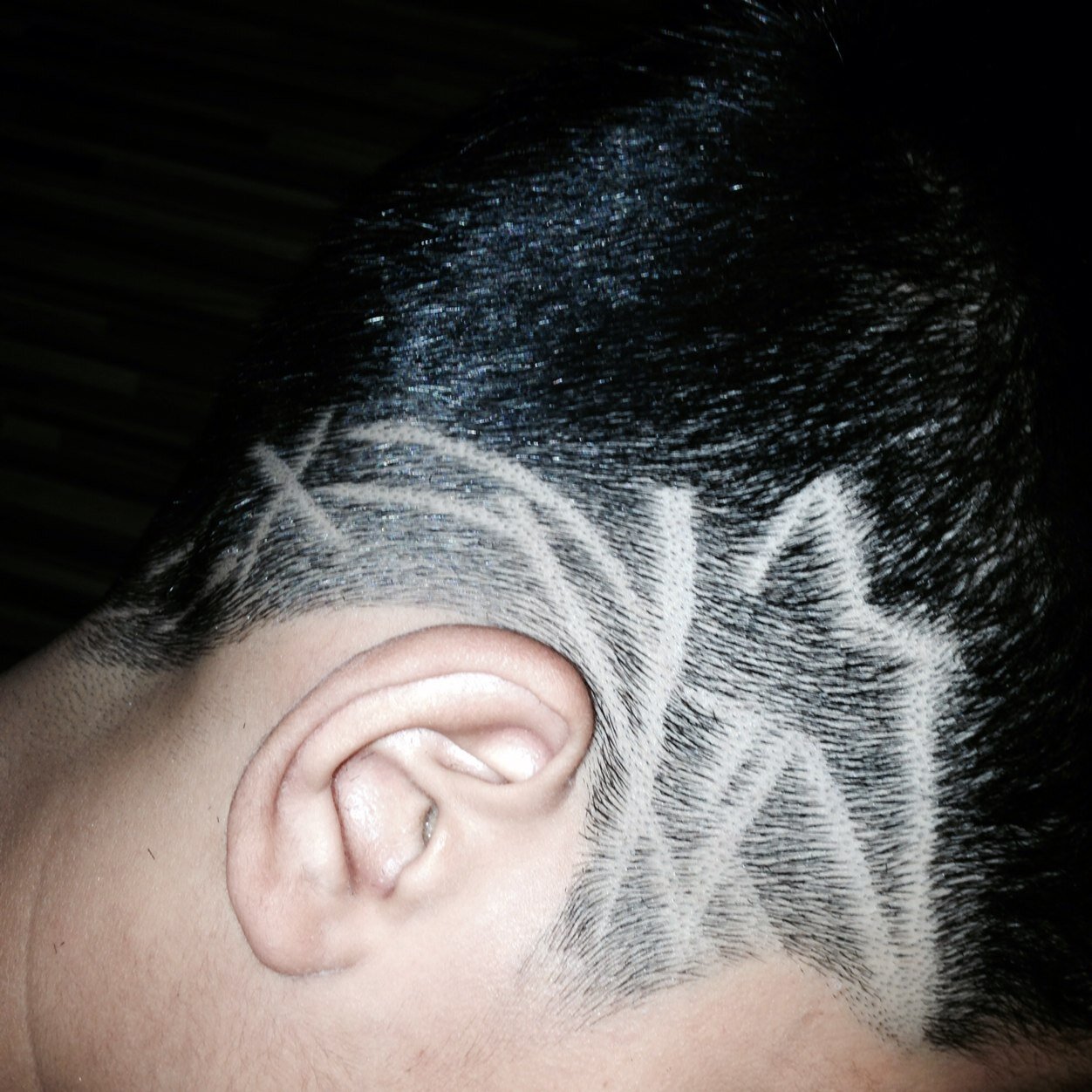 nicolo3278's profile picture. 