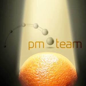 PM TEAM: management and HR consulting (BSC, KPI, selection, motivation, assessment, audit, etc.) management trainings, career development and business coaching.