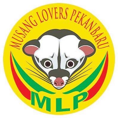 Gathering hari minggu CFD di Taman Kota jam 07.00 sd selesai dan sore di masjid an-nur. CP:@prasastriy/ 5982370D