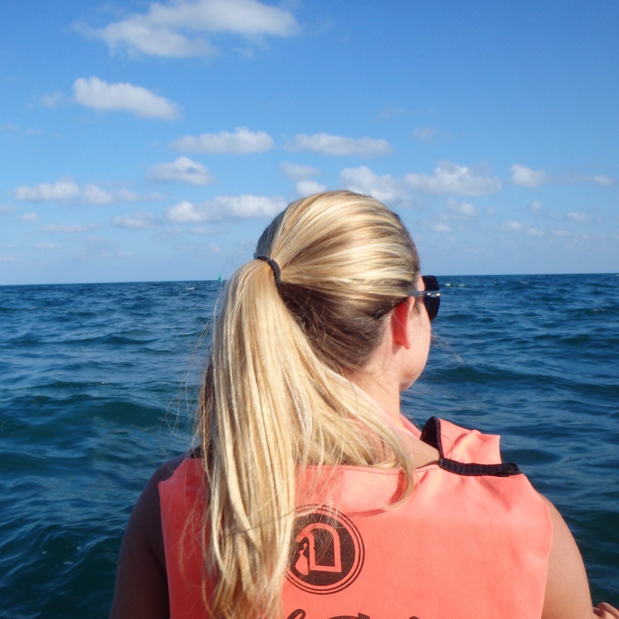 PetrieAP's profile picture. 