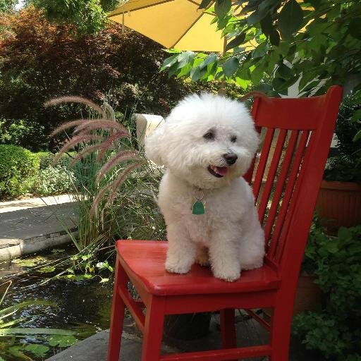 kingscottagebb's profile picture. Close to the Lancaster City art scene & Amish farmland.