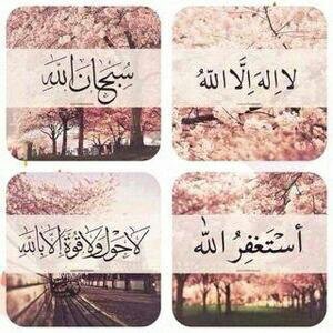 سبحان الله وبحمده سبحان الله العظيم.