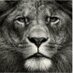 Paul Inc. (@pjnugg) Twitter profile photo