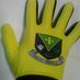 GAA Star Gloves (@gaastargloves) Twitter profile photo