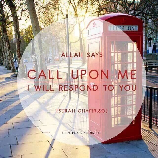 ayesha_003's profile picture. 