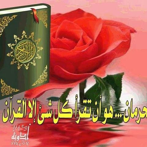 اللهم/ لا تجعل لهما ذنبا إلا غفرته , ولا هما إلا فرجته , ولا حاجة من حوائج 
الدنيا هي لك رضا ولهما فيها صلاح إلا قضيتها ,