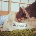candylove (@0802candylove) Twitter