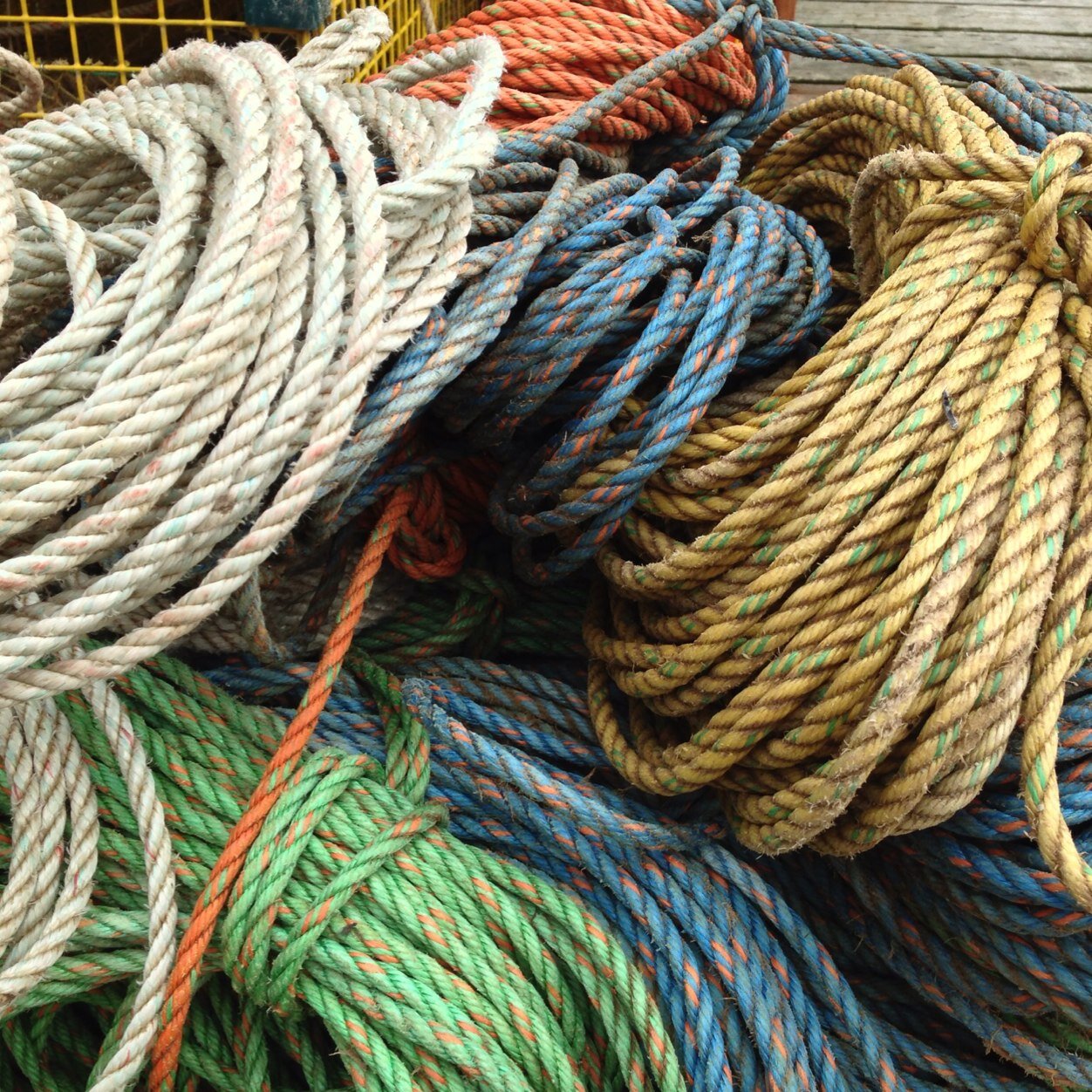 Diana101514519's profile picture. 