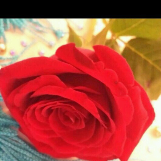 Momo123momo120's profile picture. 