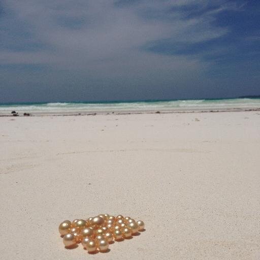 Wholesaler of loose south sea pearls sourced directly from local pearl farmer across Indonesia. Whats App l+6281339734111 https://t.co/QIP7hIq3ut