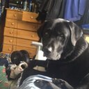 Wally Balls - @mrheard - Twitter