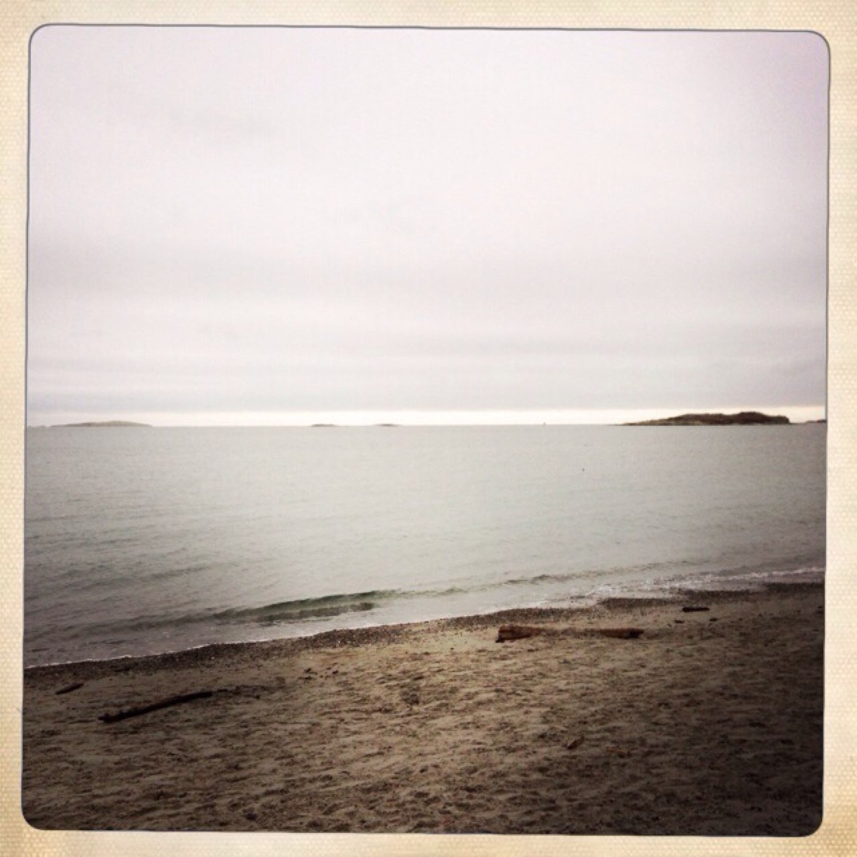 mellymoran's profile picture. 