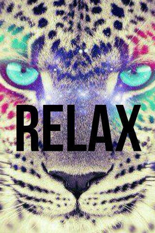 Holaaaaaa