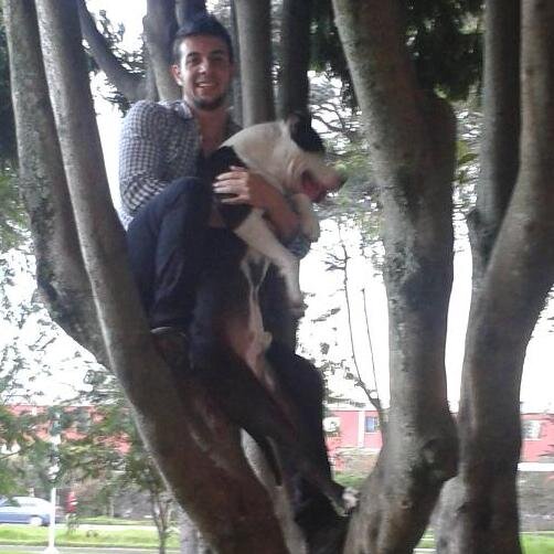 carlocaballe's profile picture. 