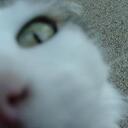 Anne-Maree Smith - @TassieRee - Twitter