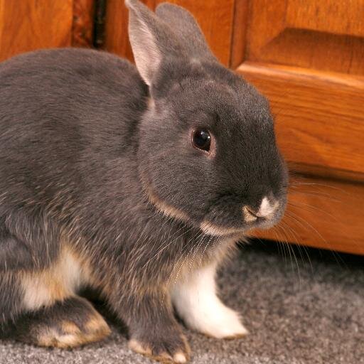 RuthCuerden's profile picture. 