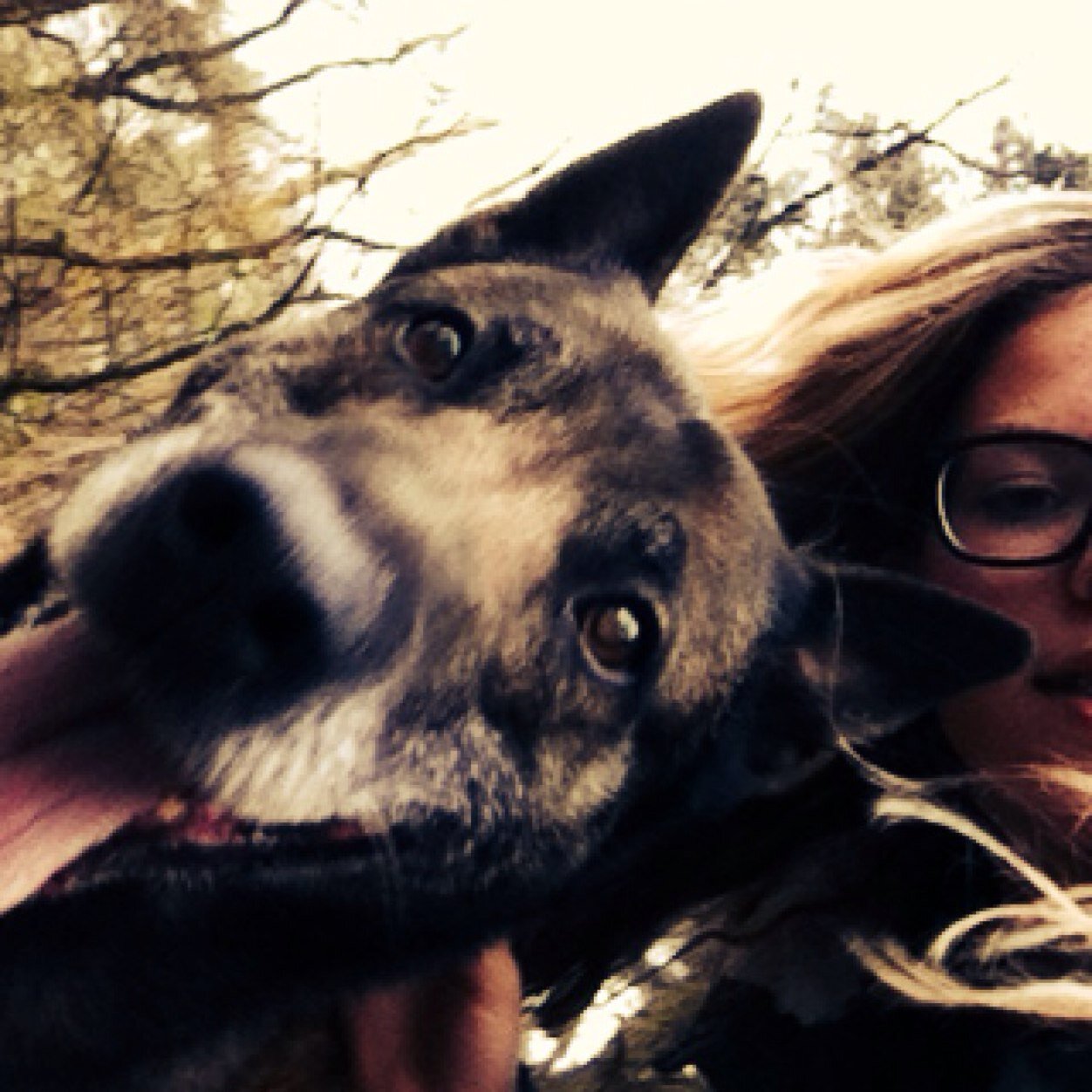 xZoeSandersx's profile picture. ℒℴνℯ, ℒινℯ & ℬℯℓιℯνℯ.