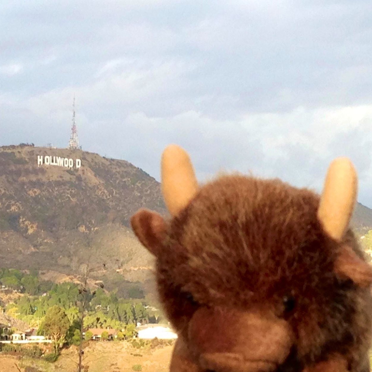 Admissions from the LBC to the UCB! 
Go Buffs! Run Ralphie Run!