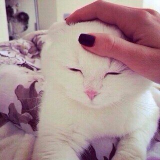 اللهم حسن الخاتمه  