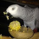 Sandra Gosnell - @SandraGosnell1 - Twitter