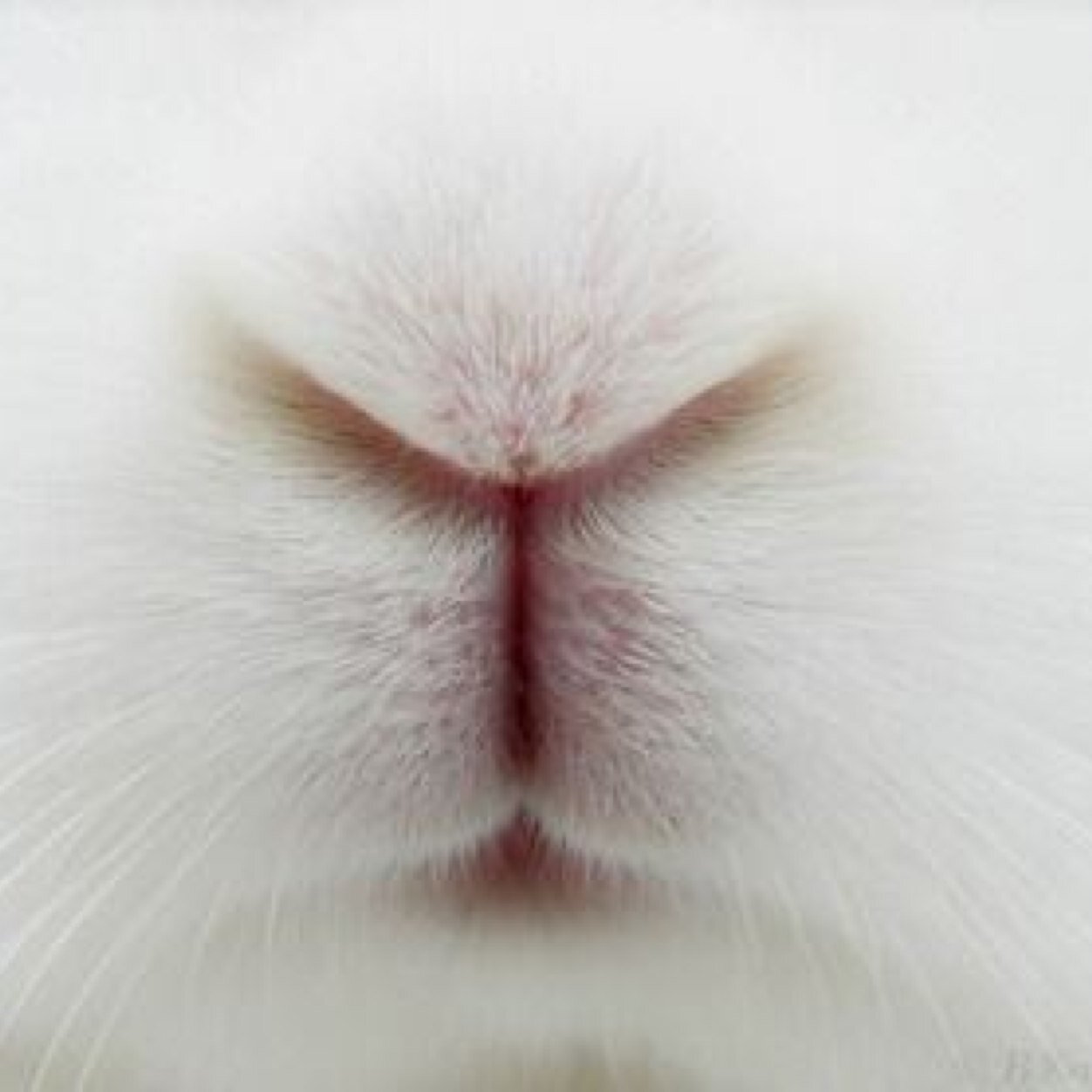 tttttt1258's profile picture. 