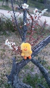 祈ればかならず願いが叶うなんてことはありえねぇ。だが、ギリギリまで必死に考えて力を尽くせば、そう悪い結果にばかりもならねぇだろう