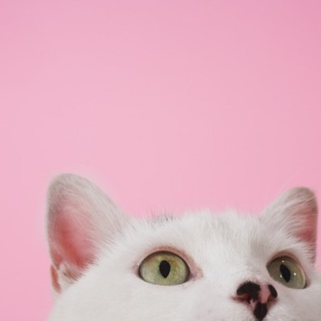 christy_1907's profile picture. 