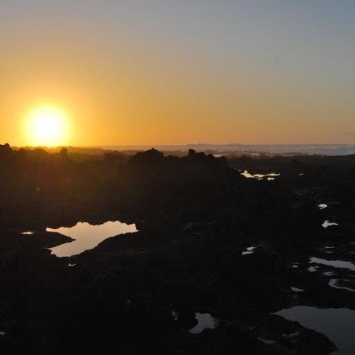 TraidorDePlaya's profile picture. Una nueva producción cinematográfica en camino de convertirse en verdad. Bienvenidos...