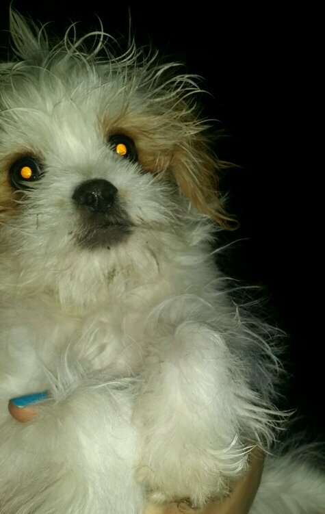 blondie2771's profile picture. 