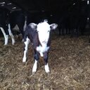 paul doe - @doe752 - Twitter