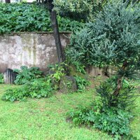 sustainablerome (@sustainablerome) 's Twitter Profile