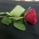 سمو (@050ac56c5eb74da) Twitter
