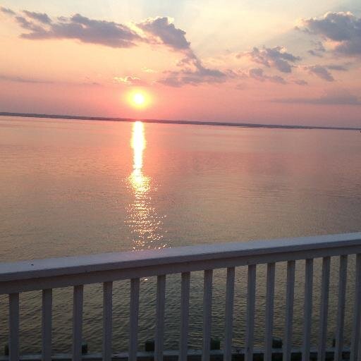 pjf_canton's profile picture. 