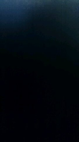 next_yk's profile picture. 