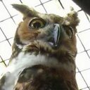 Aaron Cohoon - @roundwound5 - Twitter