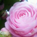 makiran (@00004690) Twitter