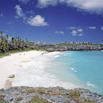 finabx's profile picture. 