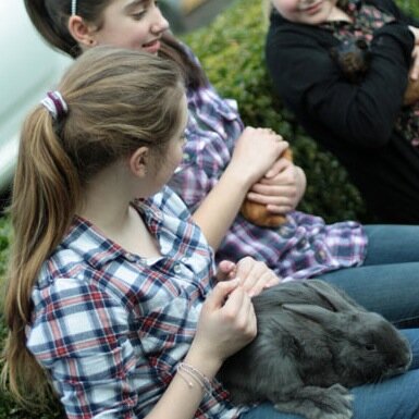 we are a mobile farm, We come to YOU! We are on Facebook!